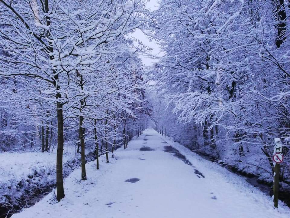 Groenhove in de Seizoenen