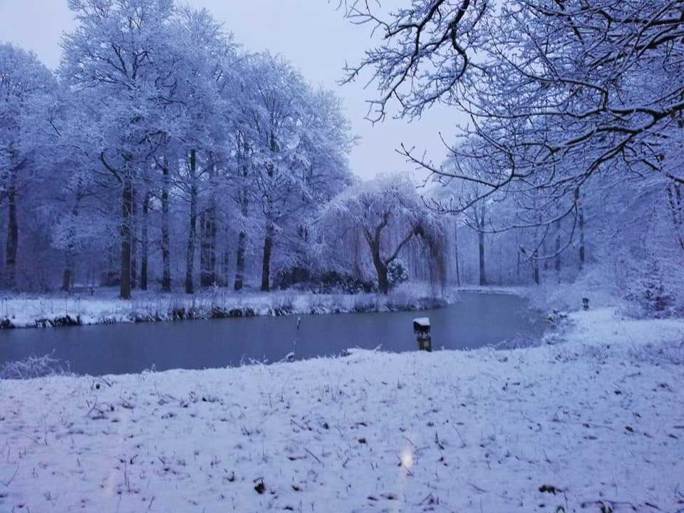 Groenhove in de Seizoenen